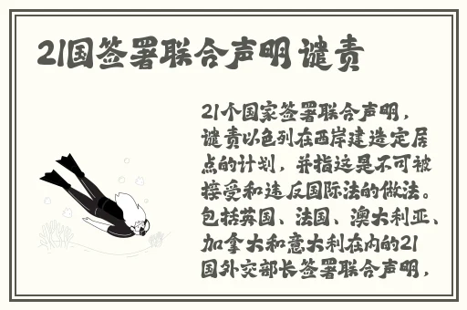 久久久久久久精品国产免费…